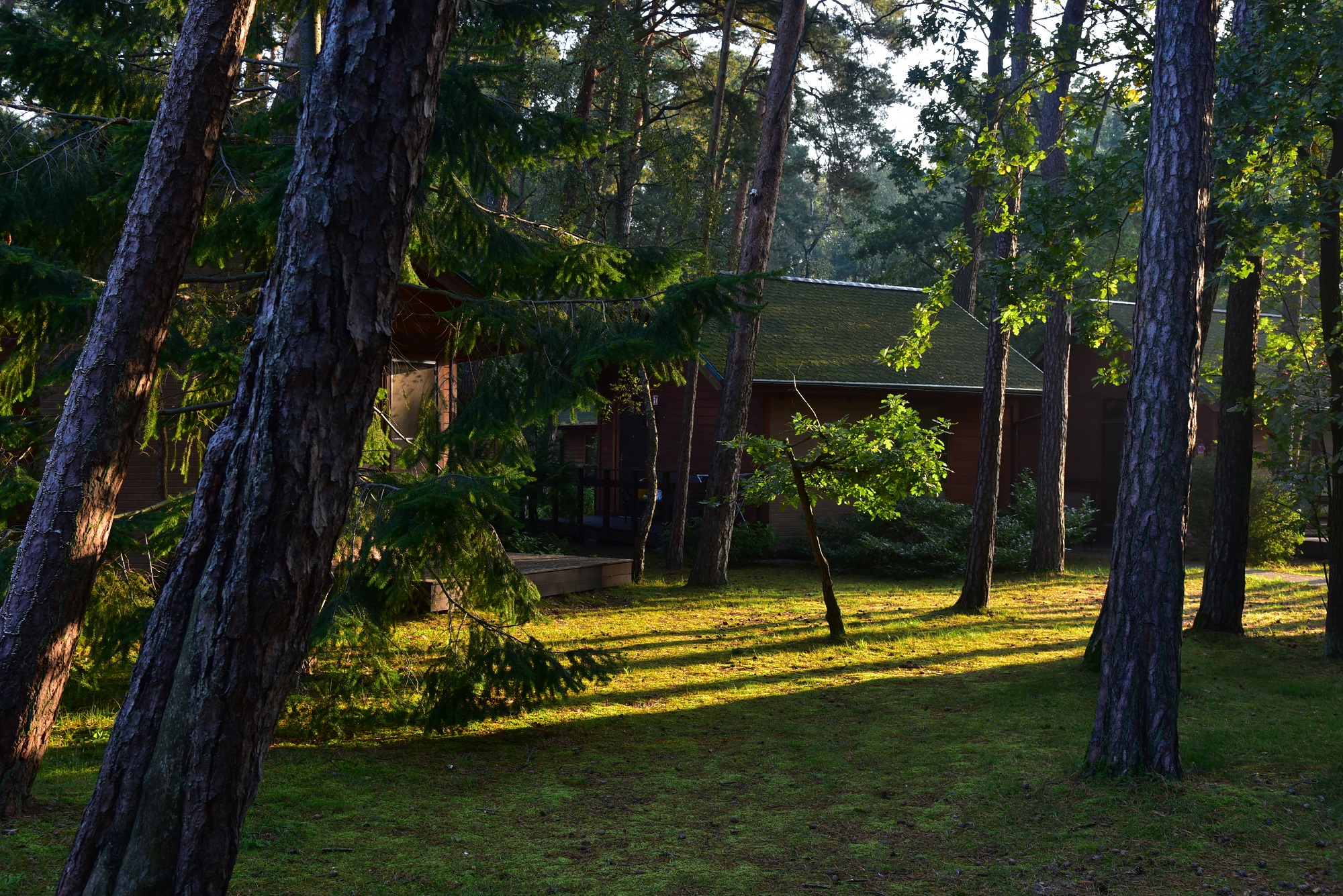 ośrodek wczasowy położony w lesie sosnowym w jednej z najładniejszych nadmorskiej miejscowości Darłówko