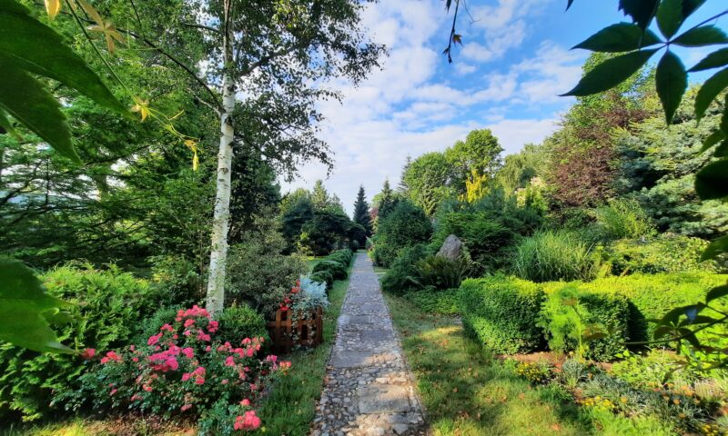 Turnusy rehabilitacyjne 04-O