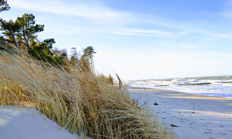 Turnusy rehabilitacyjne dla osób z dysfunkcją narządu wzroku