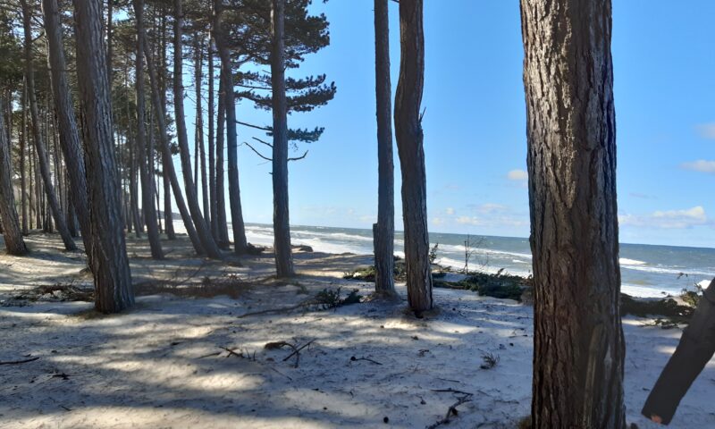 Wczasy dla seniora z zabiegami nad morzem