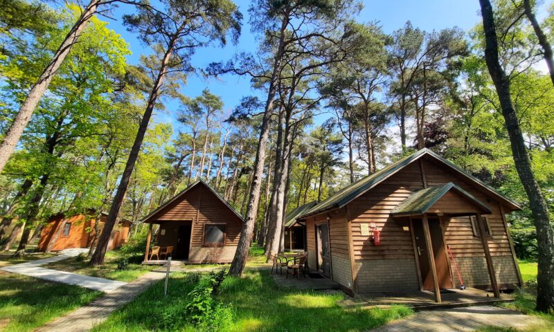 Domki nad morzem OLX